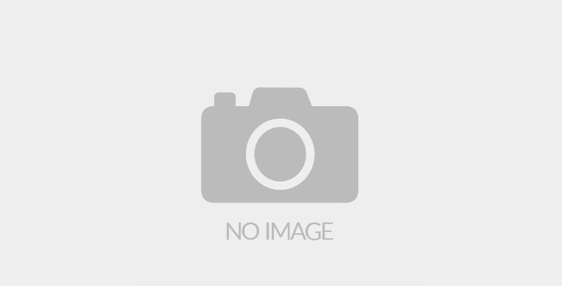 AMD 9900X3D/9950X3D 3月12日上市!价格不变!